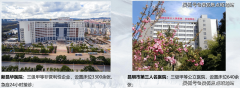 2T6/2T8户；近500个国际国内一